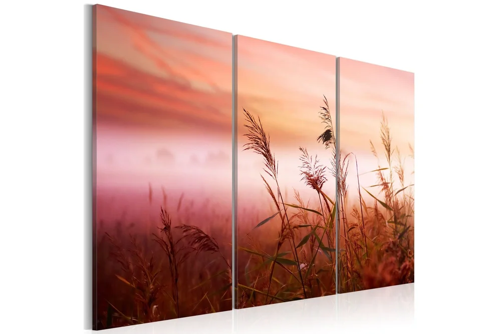 Bilde A Silent Meadow 120×80 v:7441916 Bilde A Silent Meadow 120×80 v:7441916