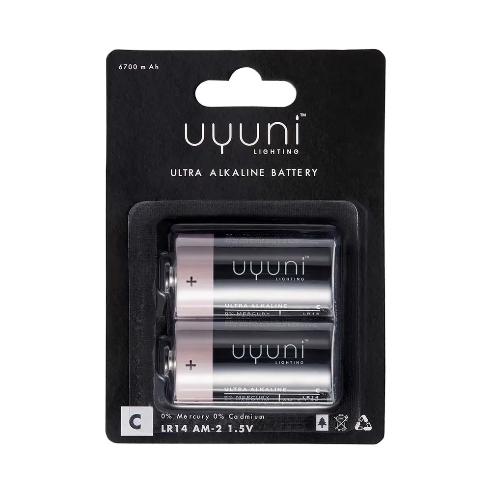 Uyuni Batteri 2-pakning v:1441821