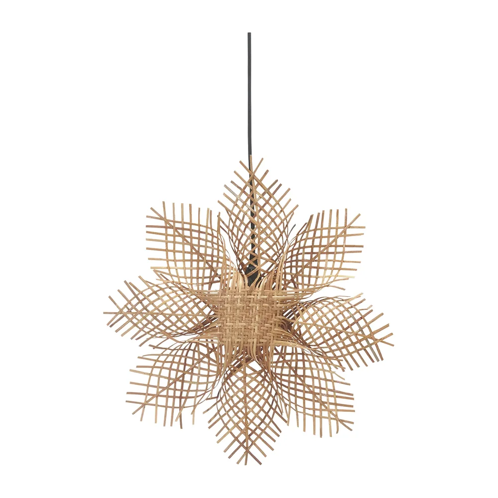 Carol adventsstjerne natur v:5530357 Carol adventsstjerne natur v:5530357