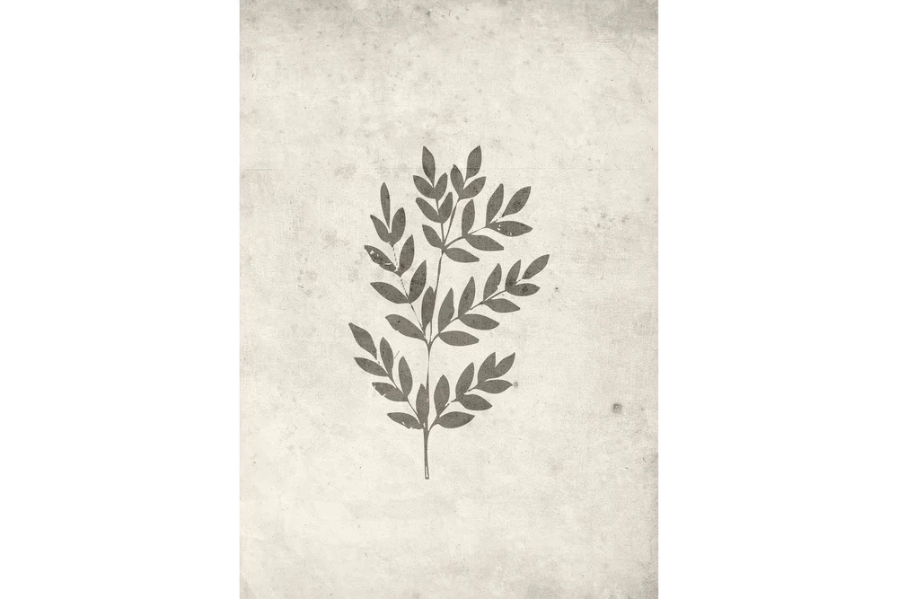 Poster Spring leaf 70x100 cm v:4999608