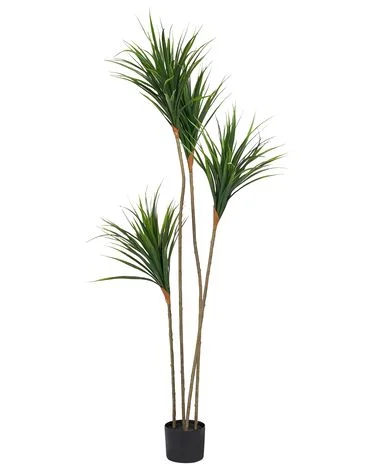 Kunstig plante DRACAENA DRACO 165 cm Grønn v:5993740 Kunstig plante DRACAENA DRACO 165 cm Grønn v:5993740