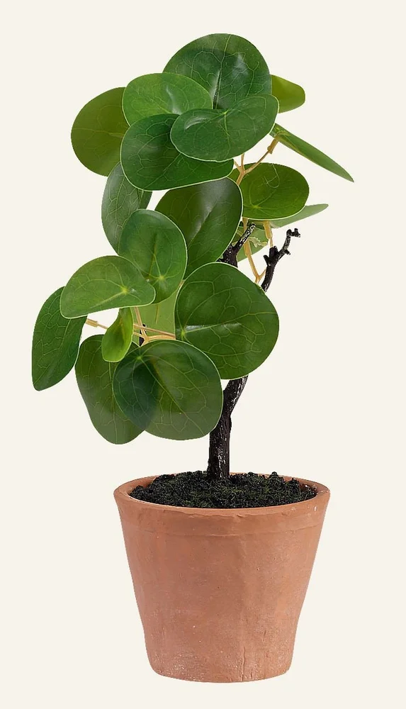 Plante grønn – 10x10x25 cm v:1370026