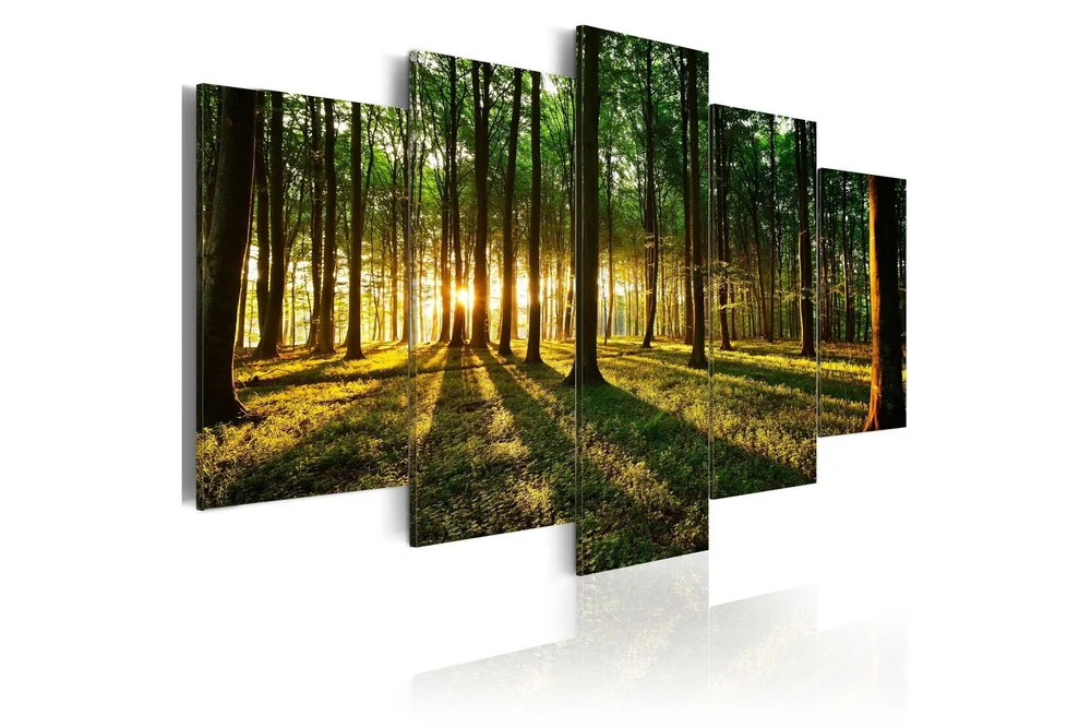 Bilde Adventure In The Woods 100×50 v:7343726 Bilde Adventure In The Woods 100×50 v:7343726
