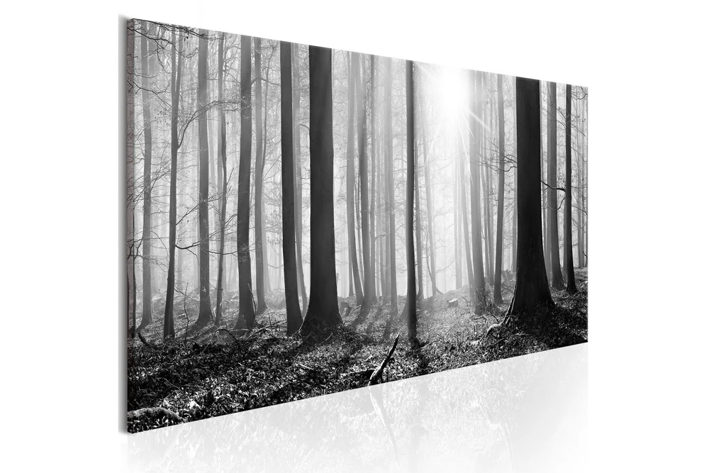 Bilde Black And White Forest 150×50 v:6088770 Bilde Black And White Forest 150×50 v:6088770