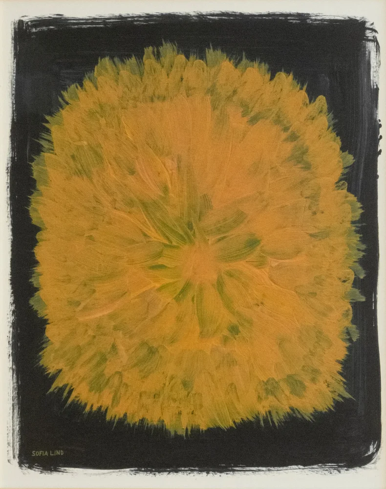 Dandelion plakat 40 x 50 cm v:4986846