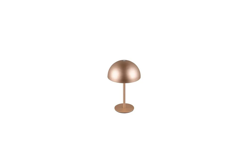 Bordlampe TRIO Munoz Kaffebrun v:1452210