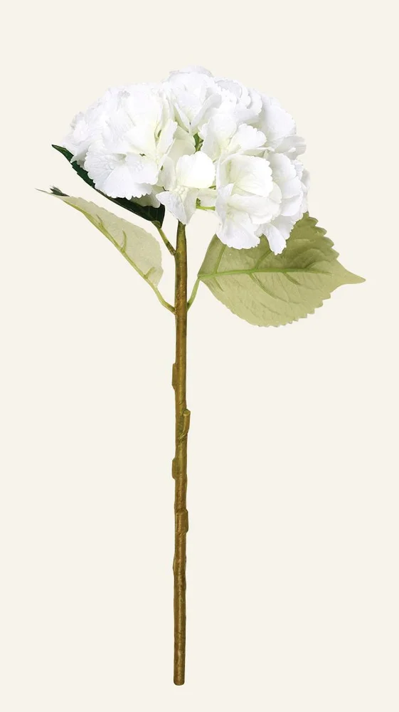 Blomst hvit – 18x18x46 cm v:5702838