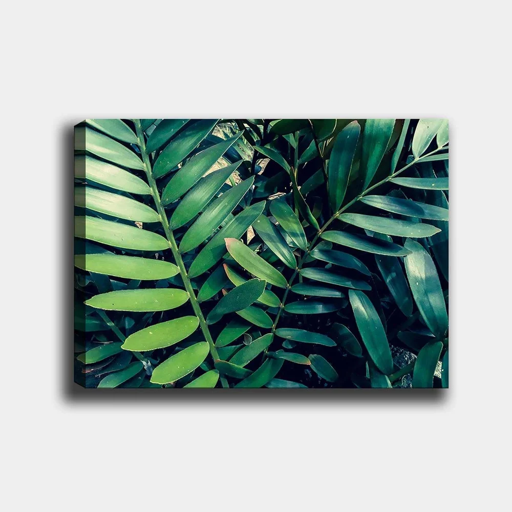 Lerretsbilde 70x100 cm - Tettvevde grønne planteblader som skaper en frodig og levende følelse v:8112189