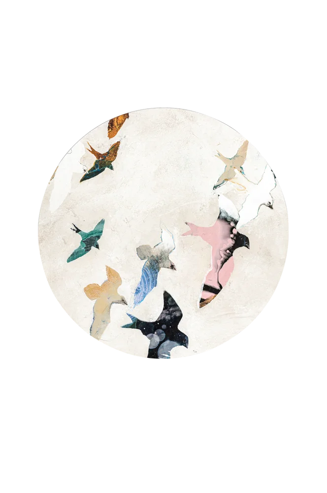 Bilde Abstract Birds 2 – Flerfarget – Dekor | m v:4041712