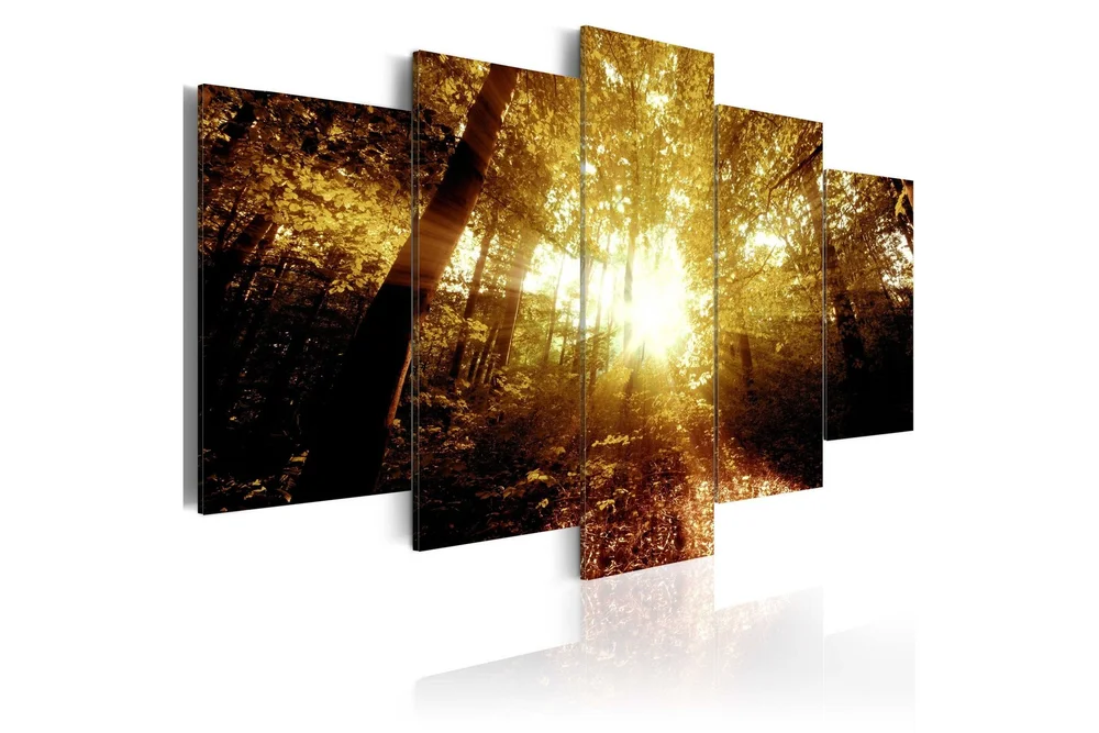 Bilde Autumn Forest 100×50 v:6438239 Bilde Autumn Forest 100×50 v:6438239