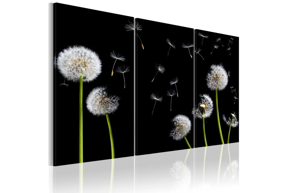 Bilde Dandelions Family 120×80 v:6792834 Bilde Dandelions Family 120×80 v:6792834