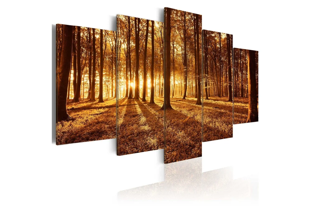 Bilde Amber Forest 200×100 v:5783798 Bilde Amber Forest 200×100 v:5783798