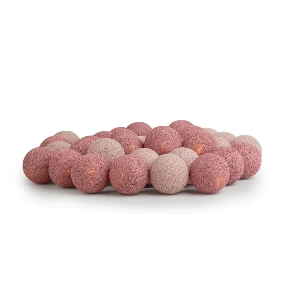 Irislights French rose v:4791824