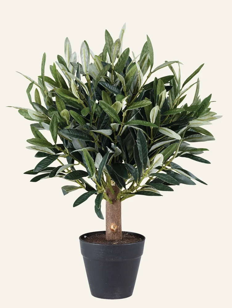 Plante grønn – 30cm v:3419385
